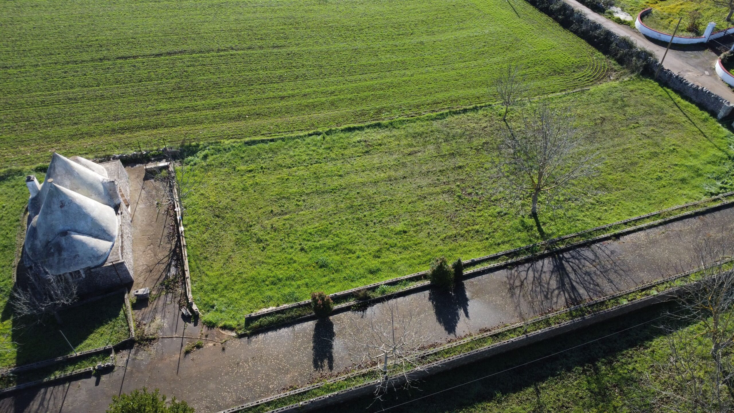 DJI_0079