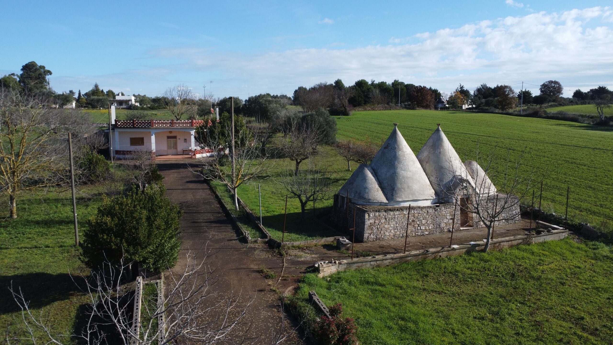 DJI_0081