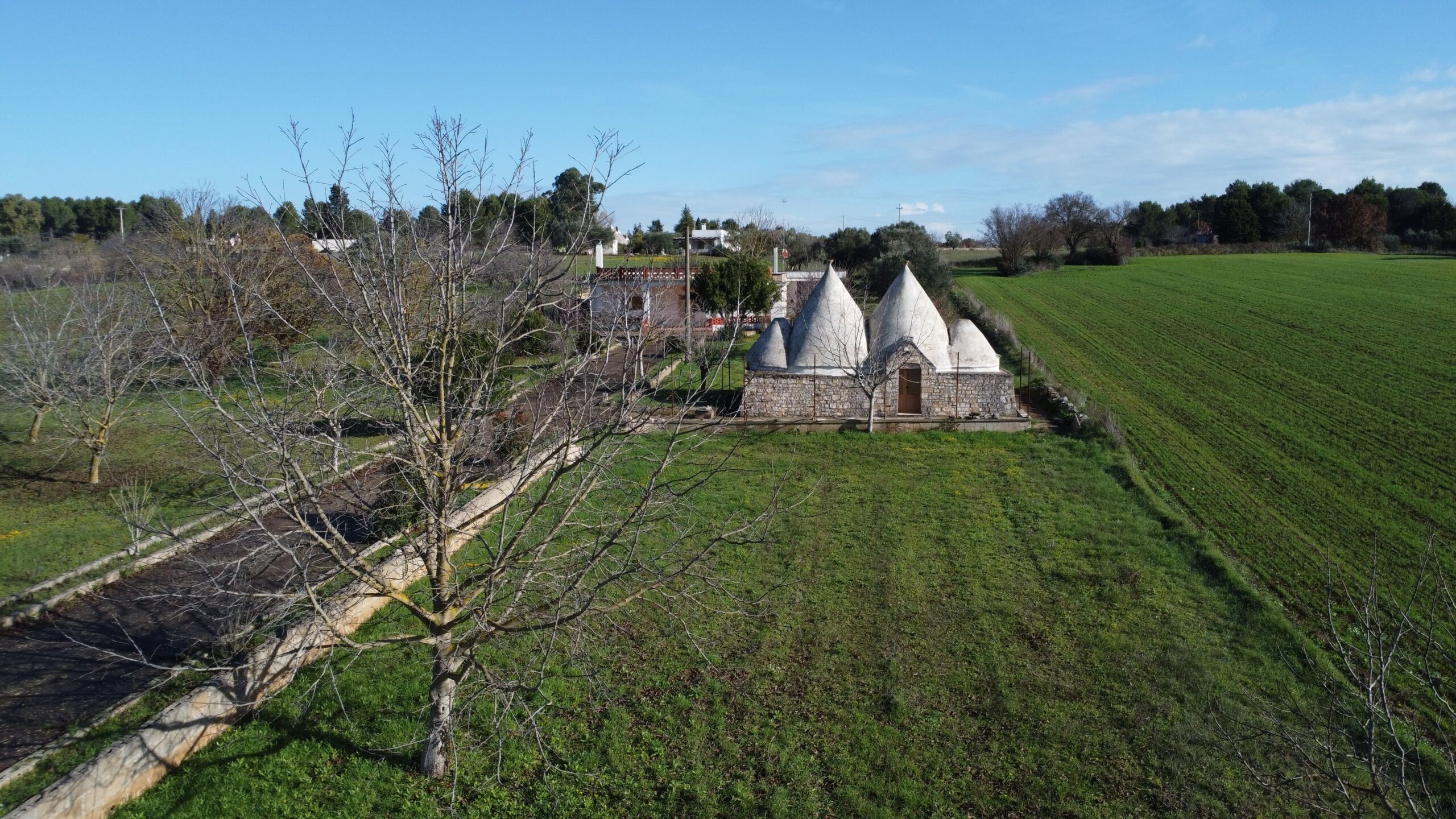 DJI_0084
