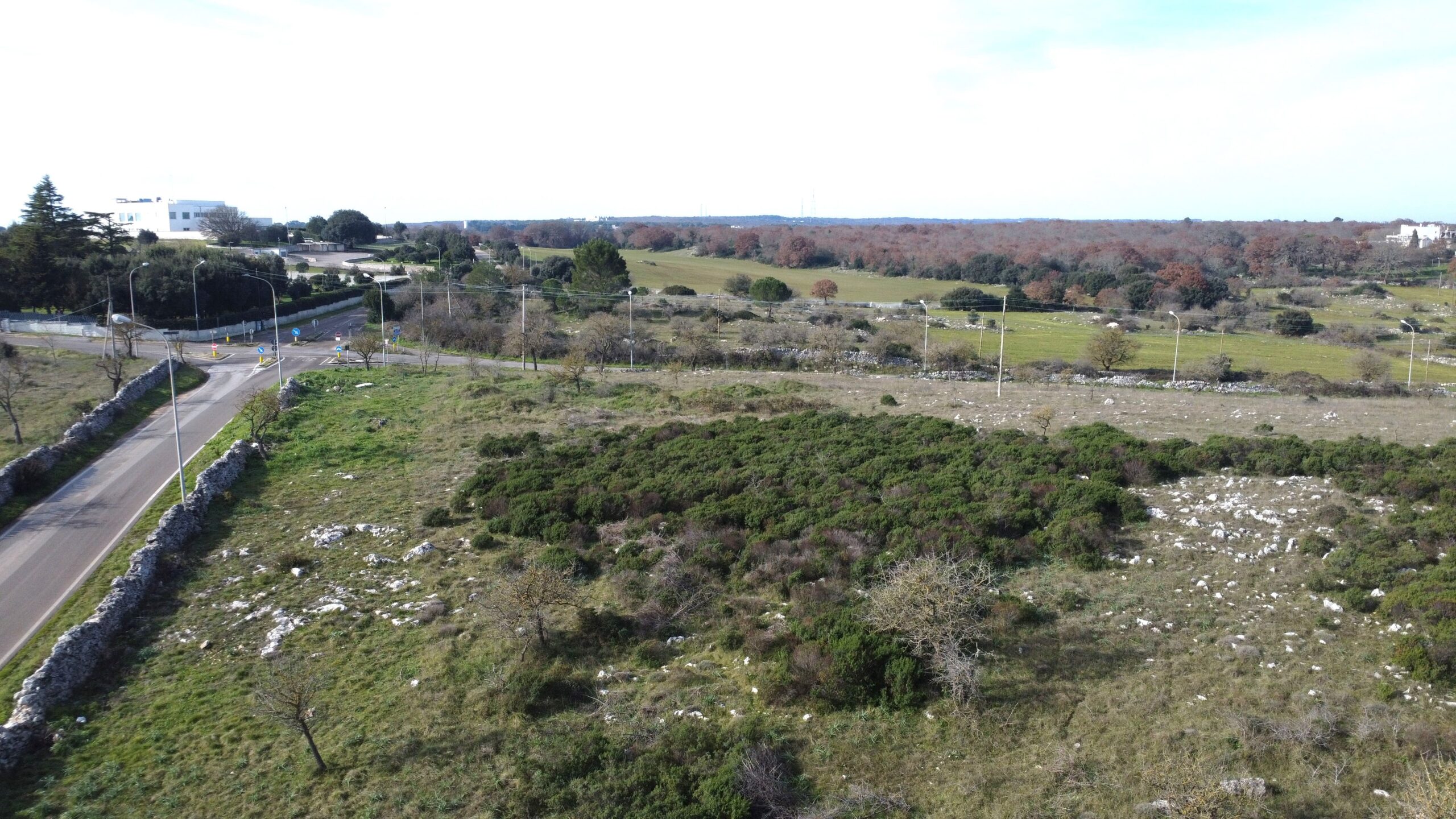 DJI_0147