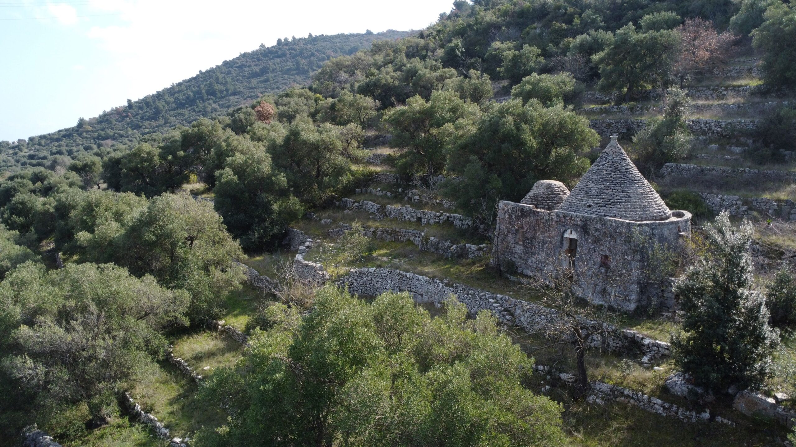 DJI_0952