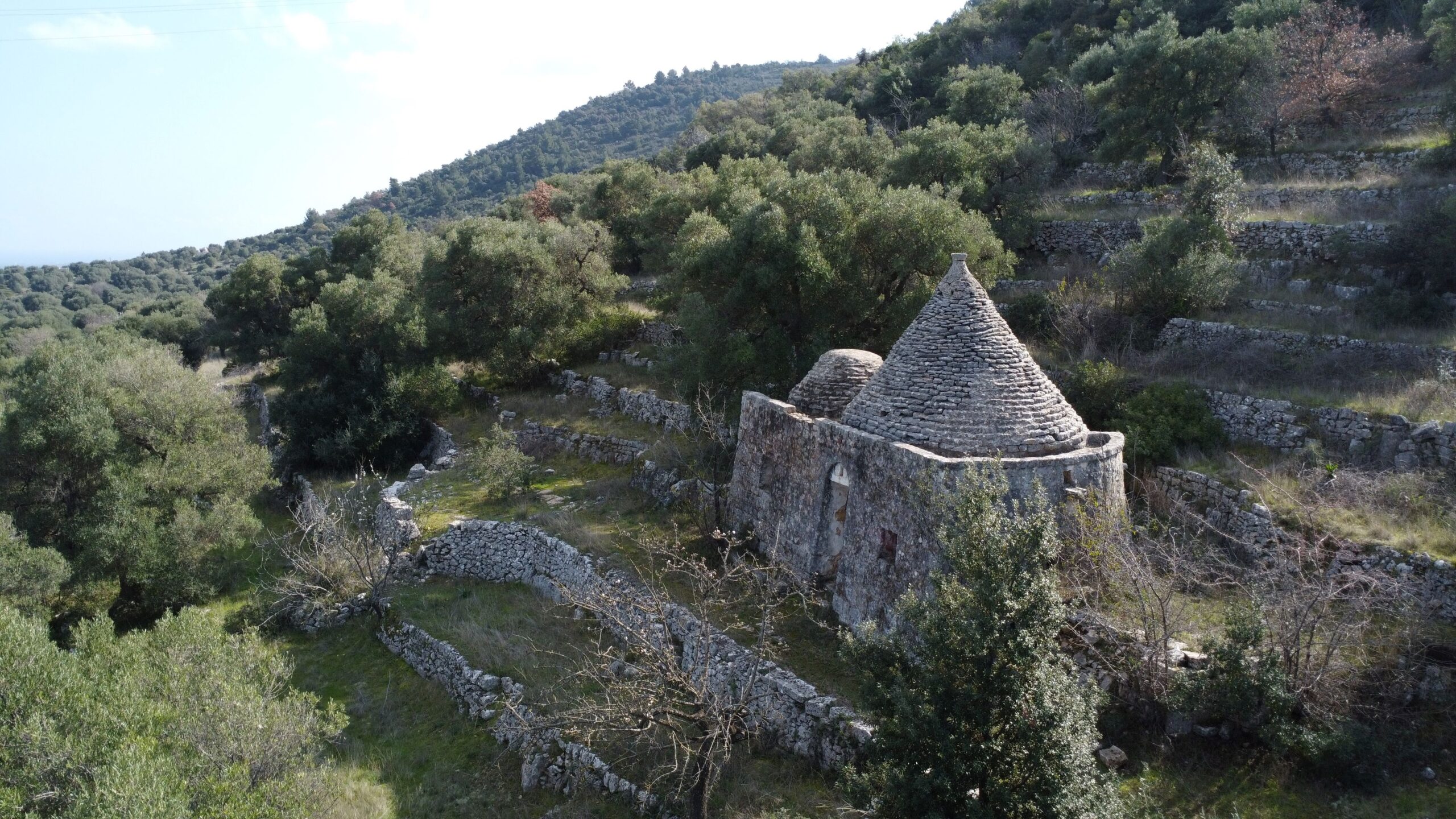 DJI_0953