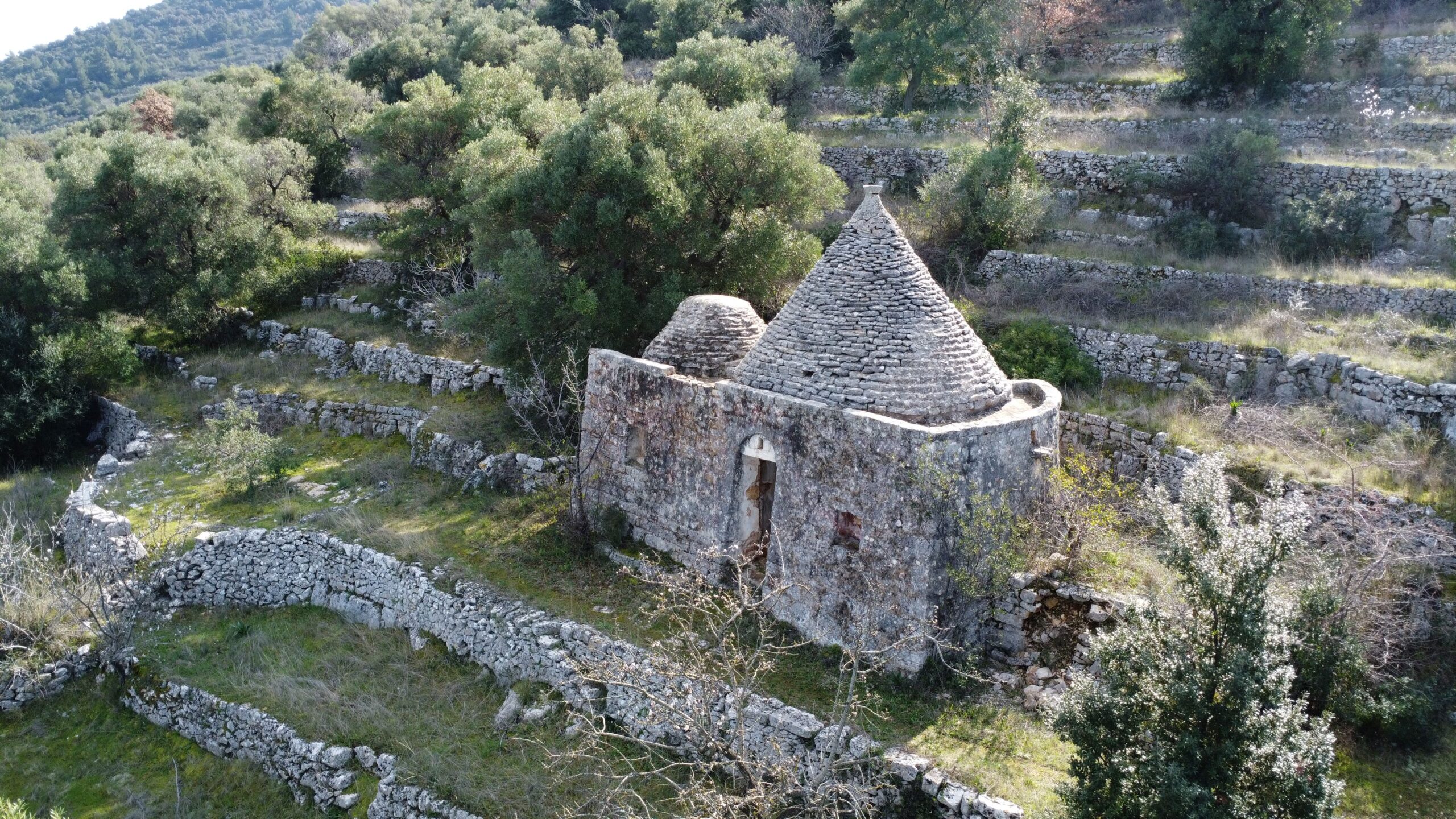 DJI_0954