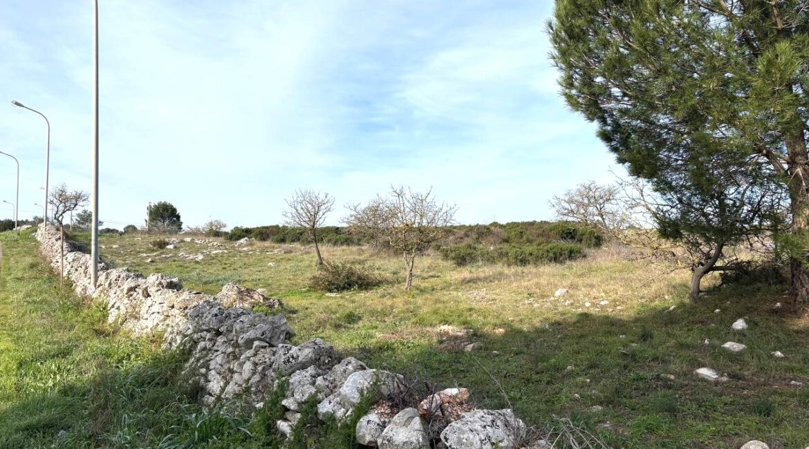 Terreno