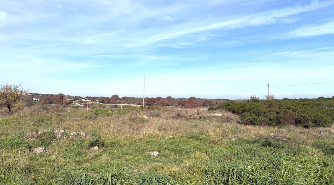 Terreno