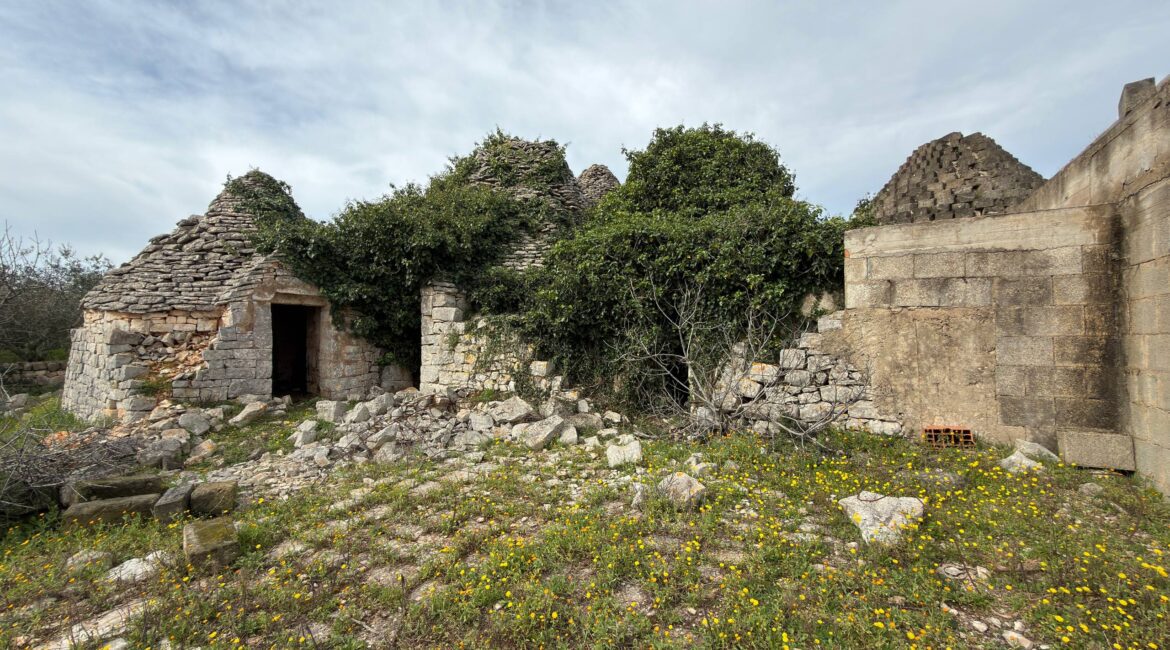 Trullo con Terreno
