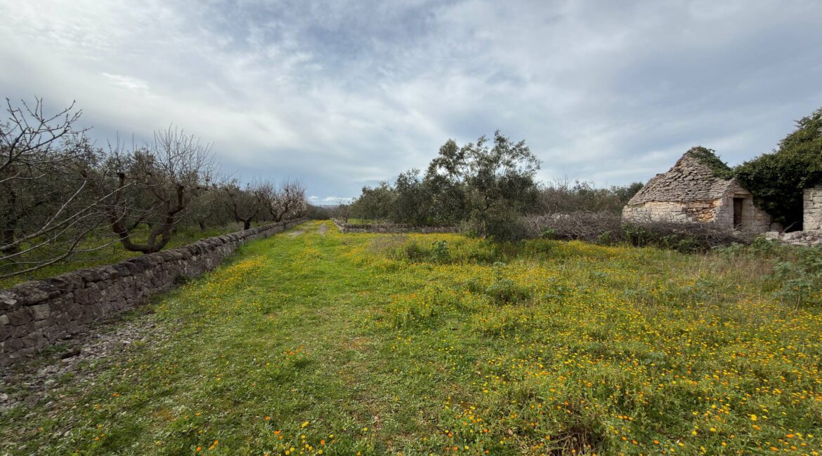 Trullo con Terreno