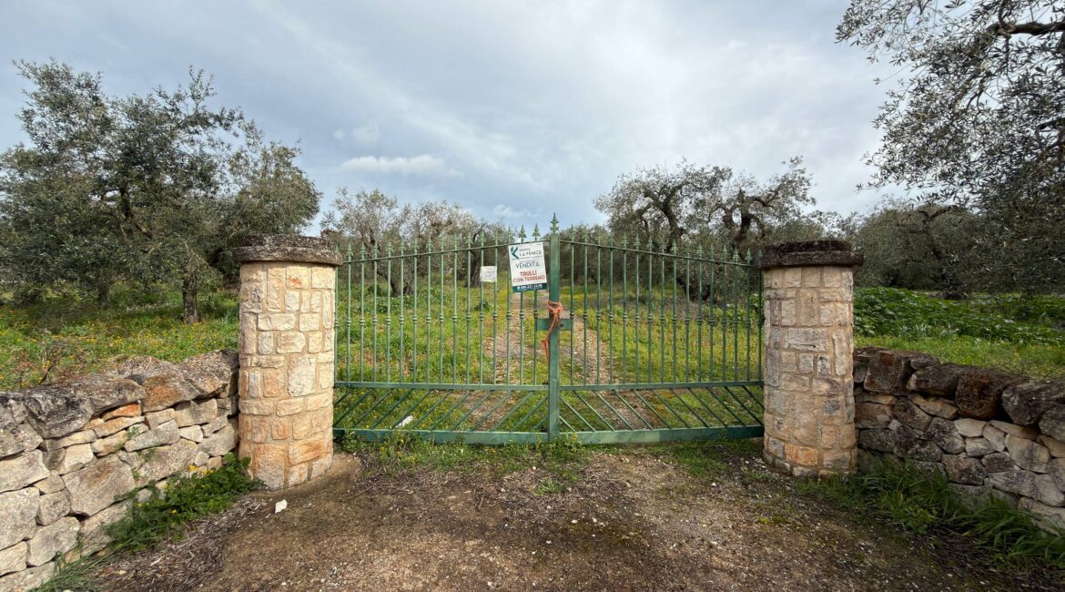 Trullo con Terreno