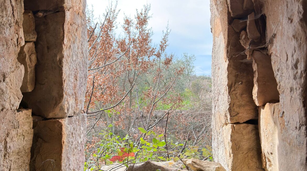 Trullo con Terreno
