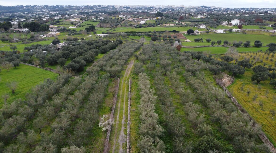 Trullo con Terreno