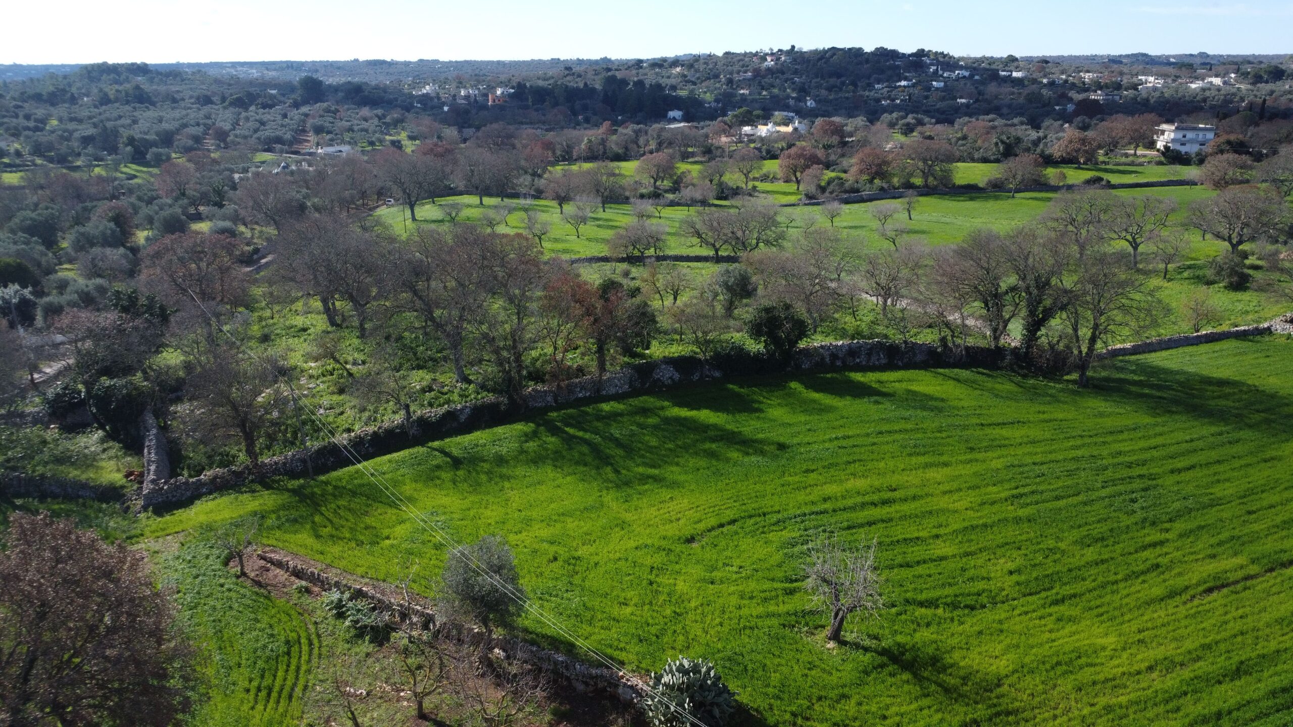 DJI_0249