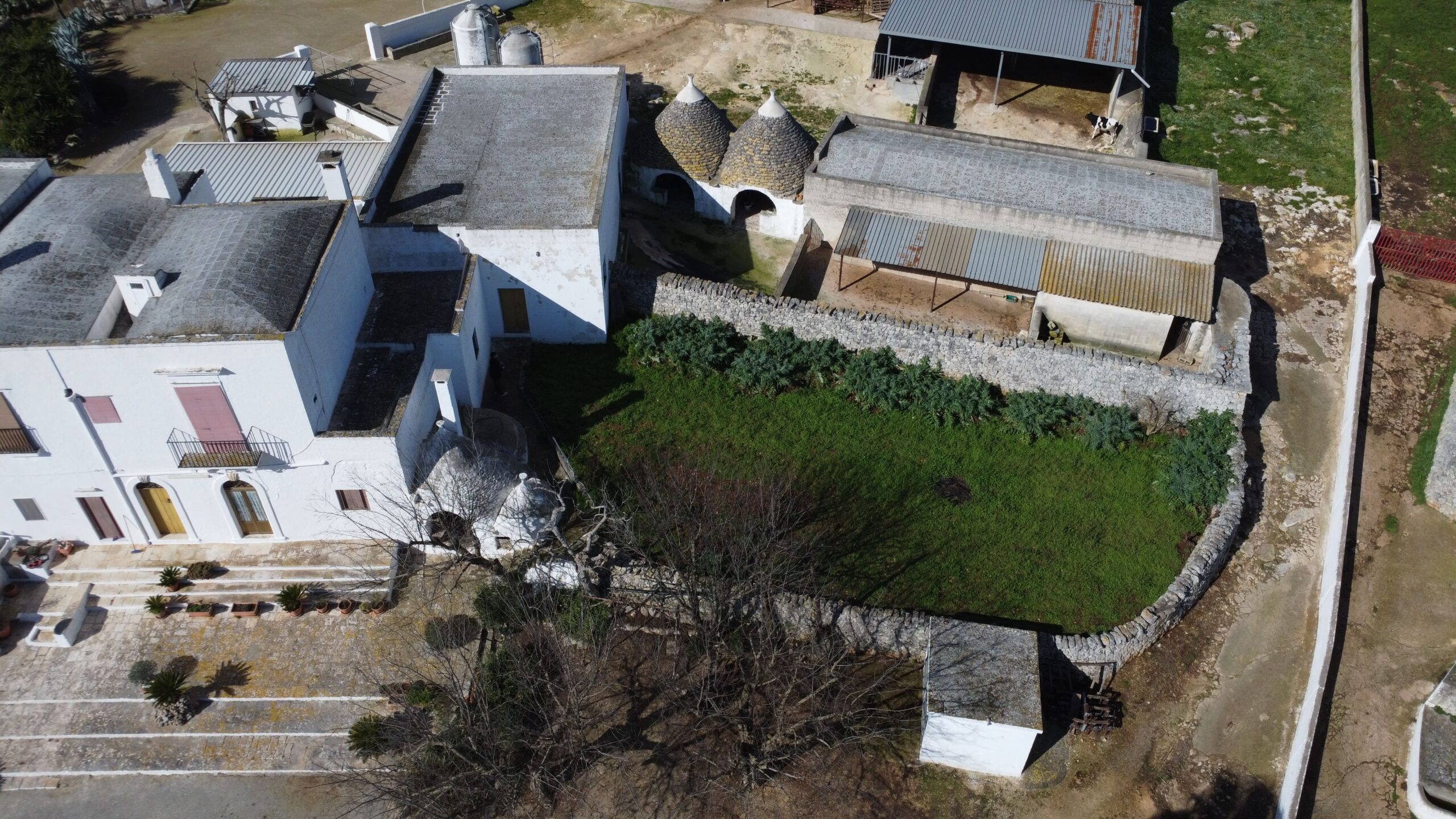 DJI_0255