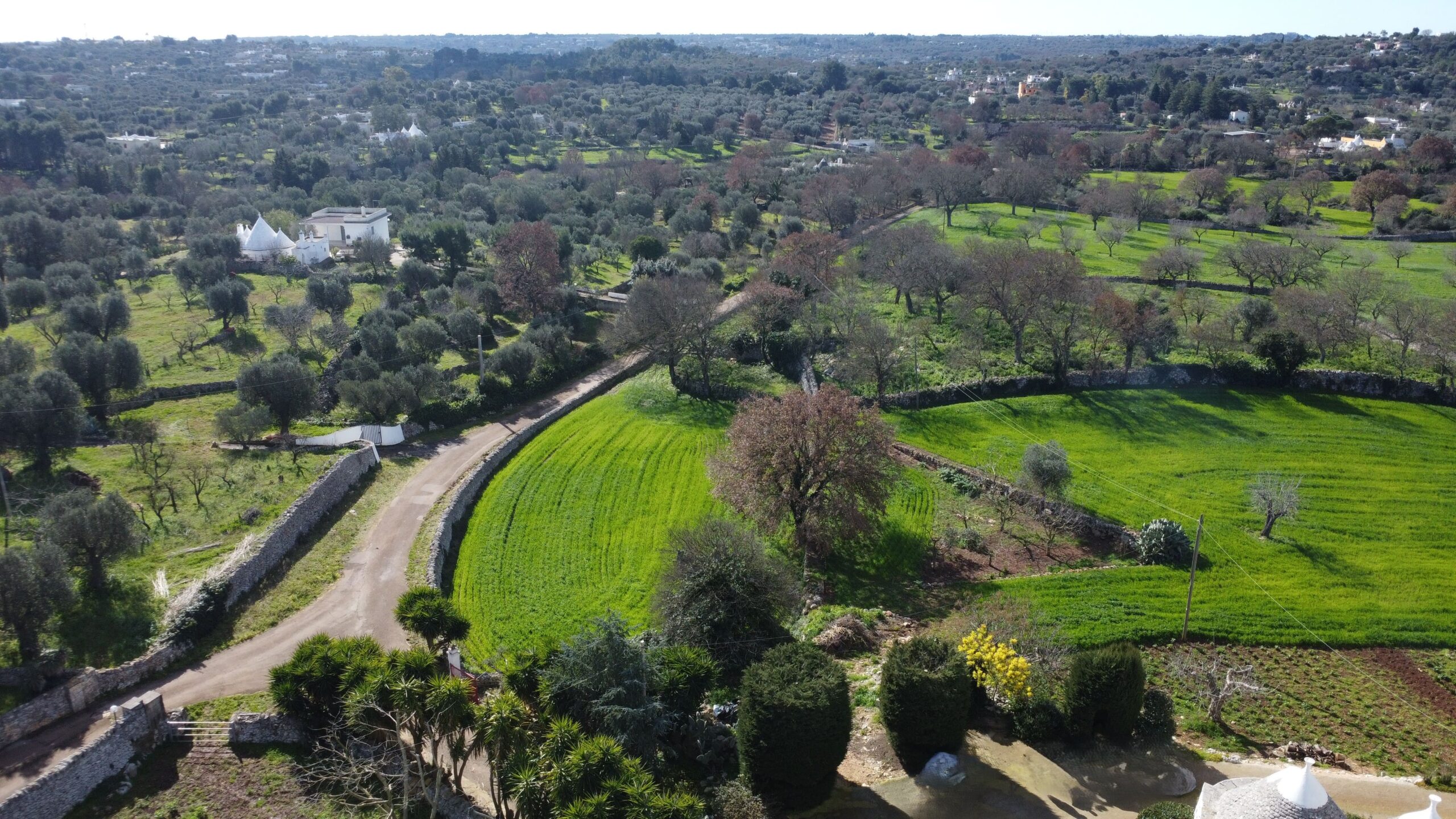 DJI_0256