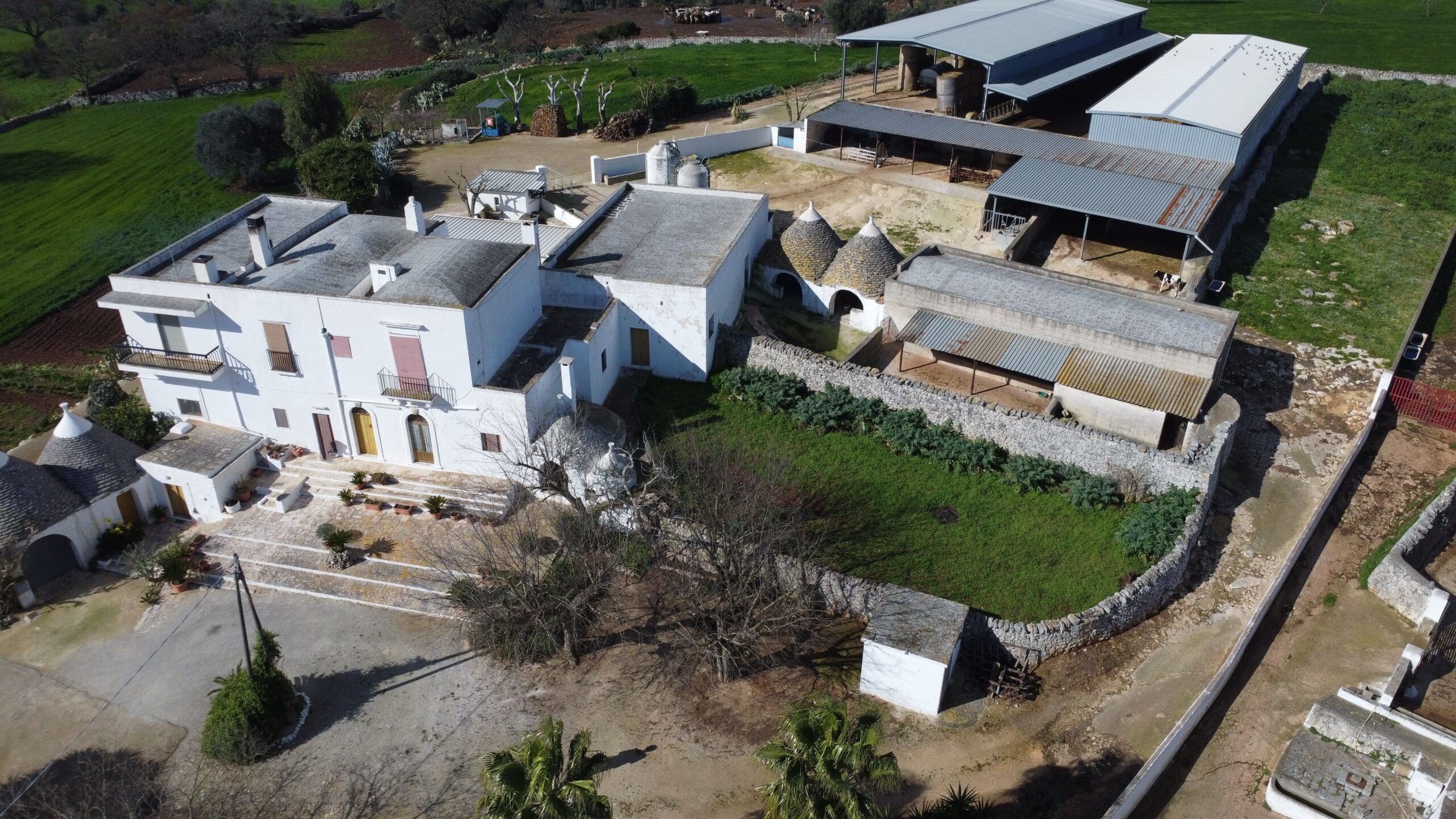 DJI_0257