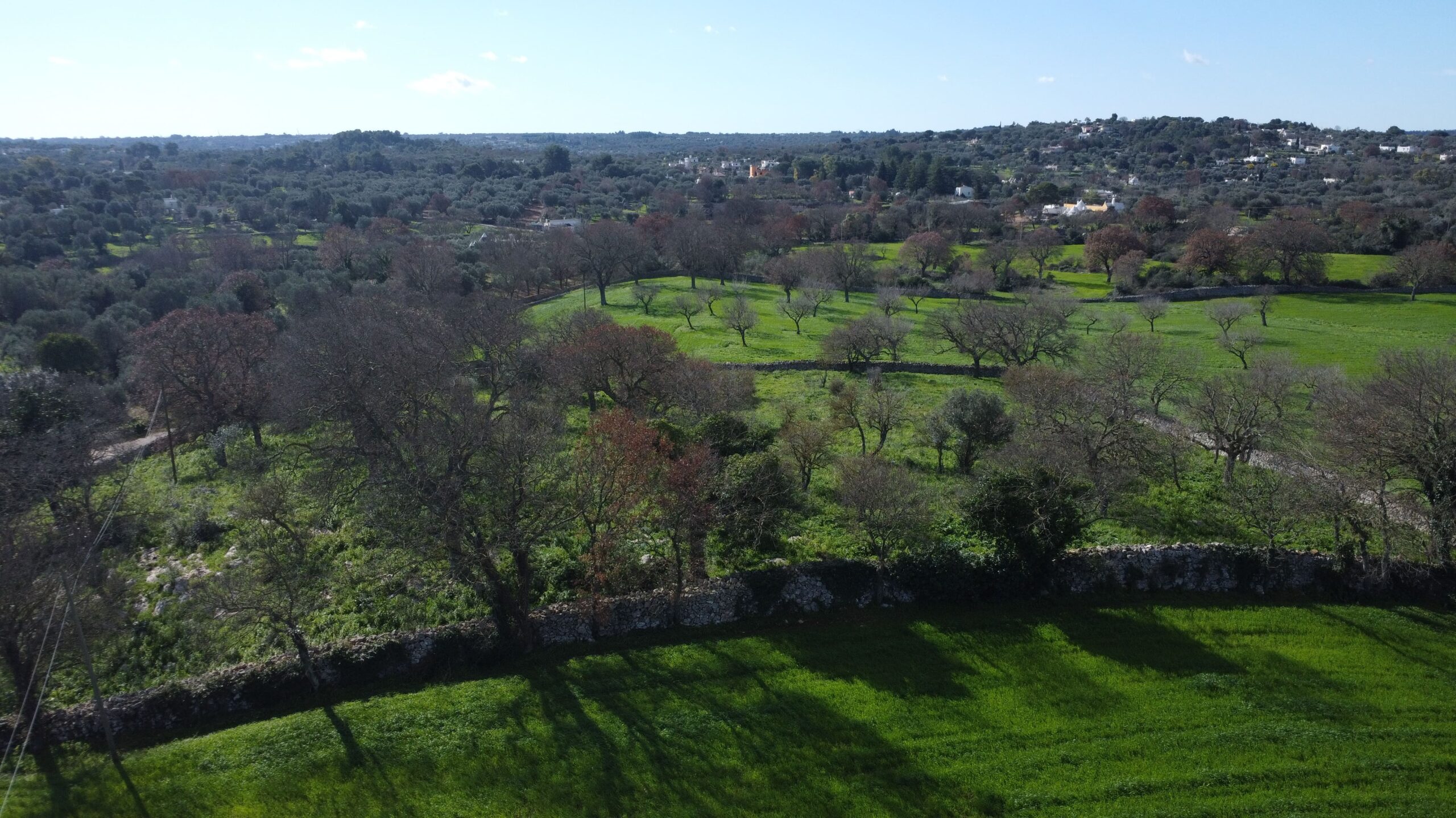 DJI_0260