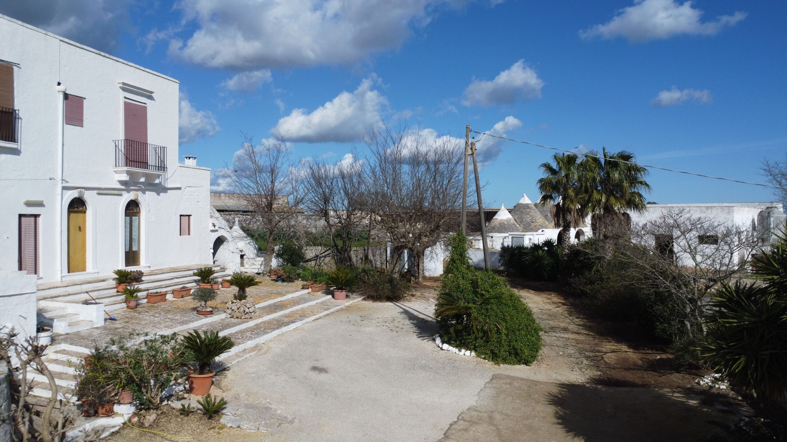 DJI_0262