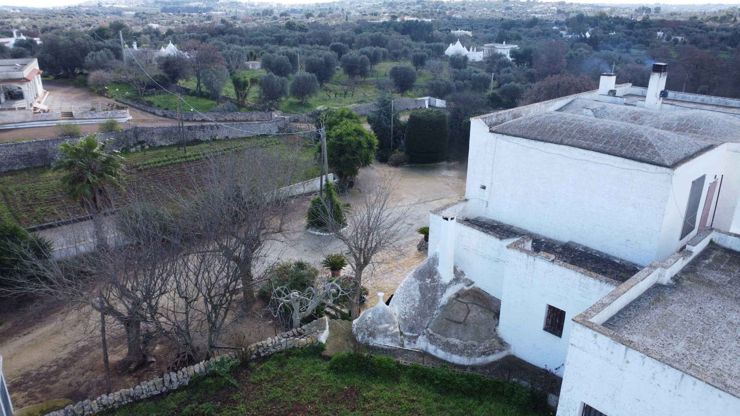 DJI_0264
