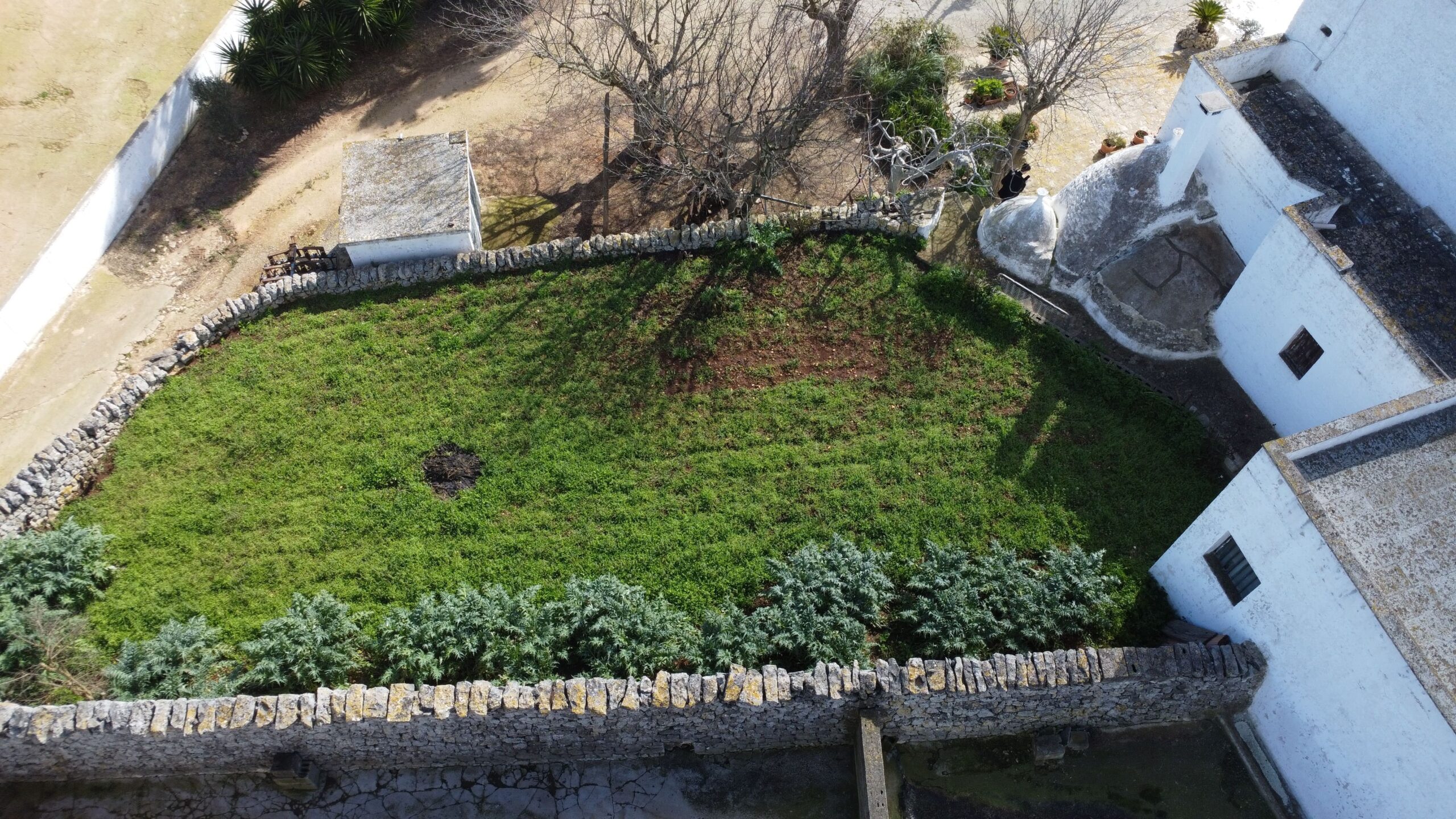 DJI_0267