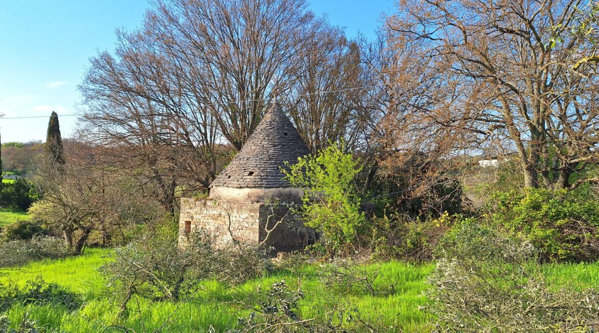 Trullo