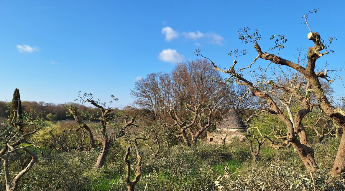 Trullo