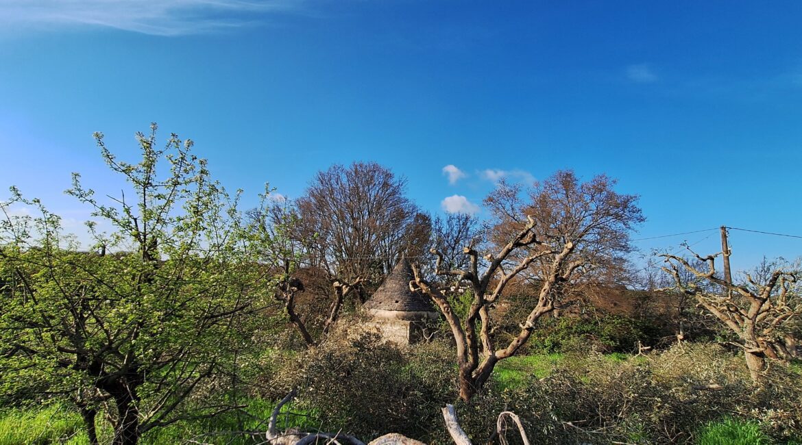 Trullo