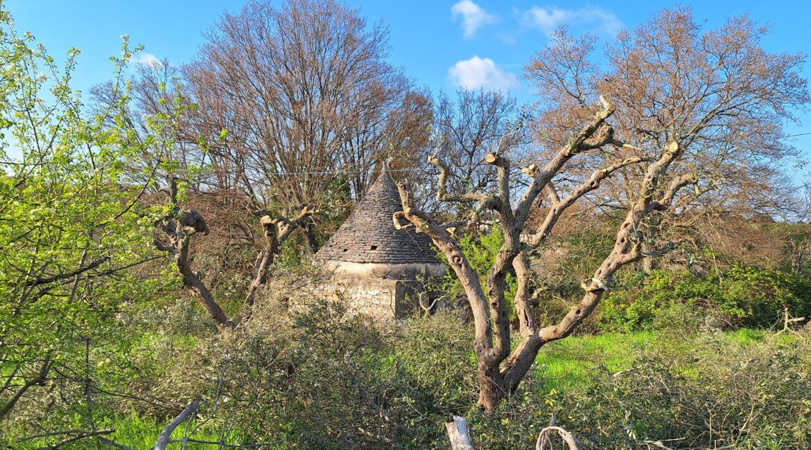 Trullo