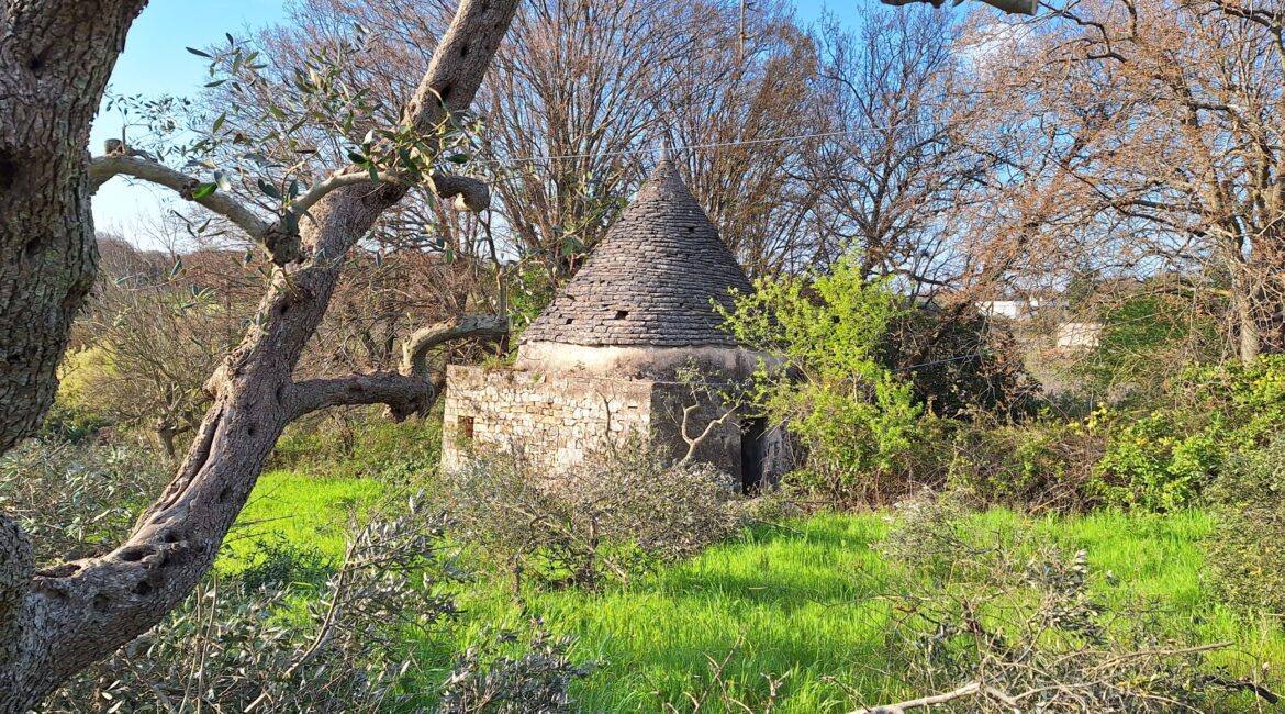 Trullo