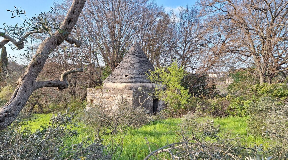 Trullo
