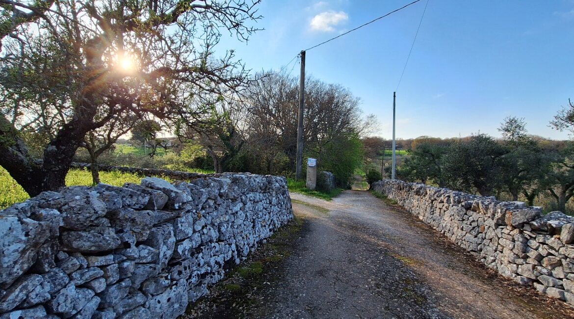 Trullo