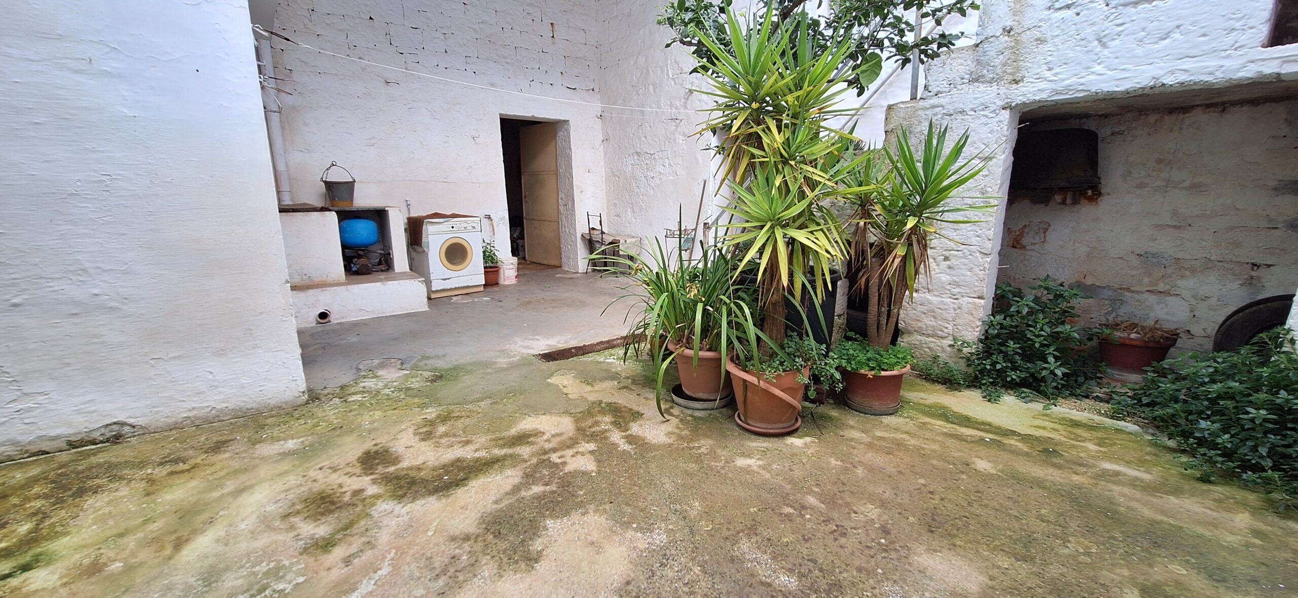 20260324_104302
