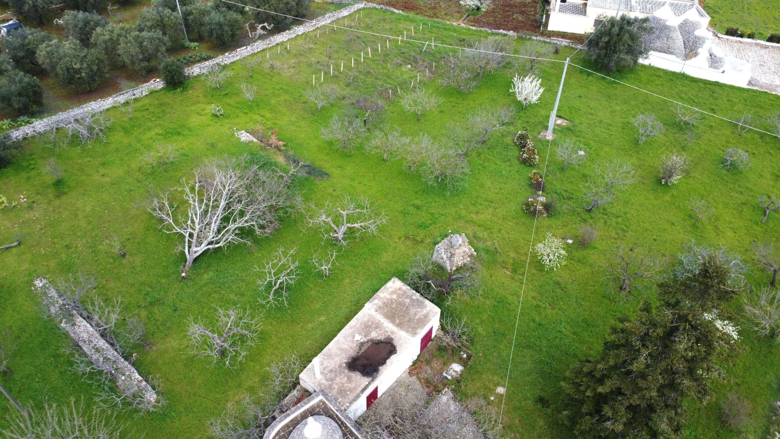 DJI_0280