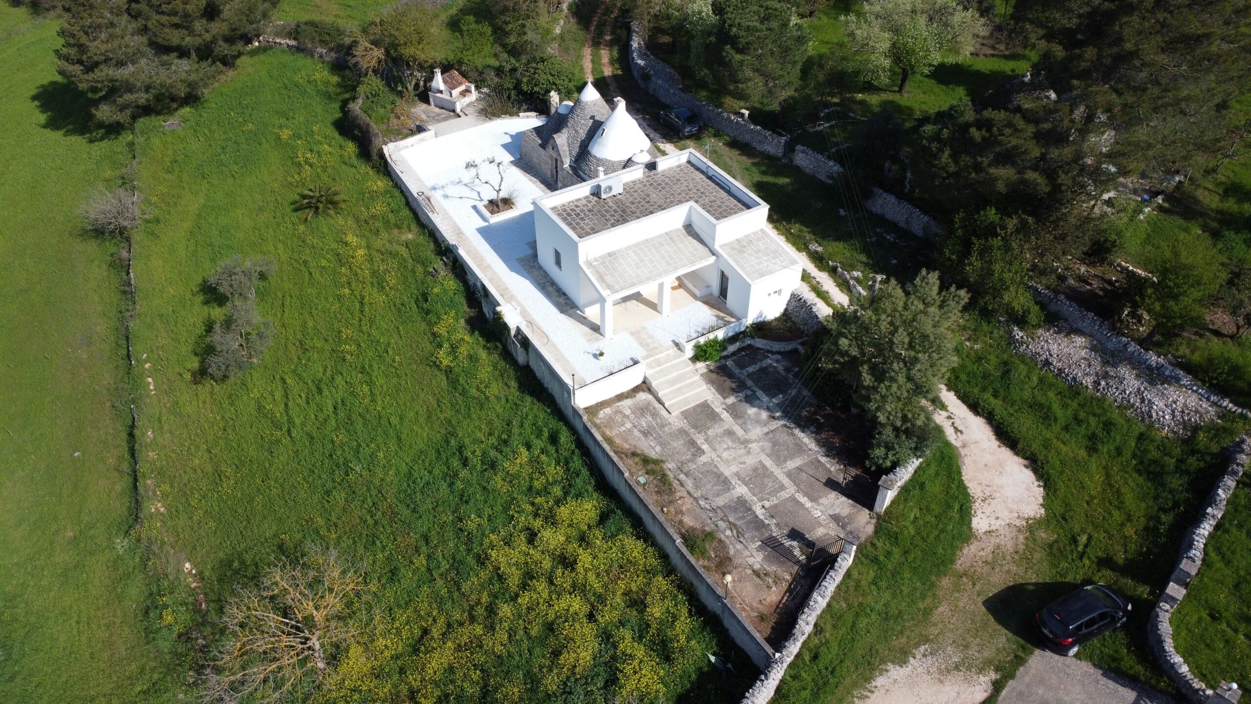 DJI_0771