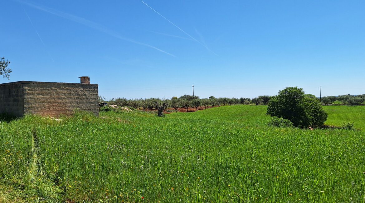 Rustico