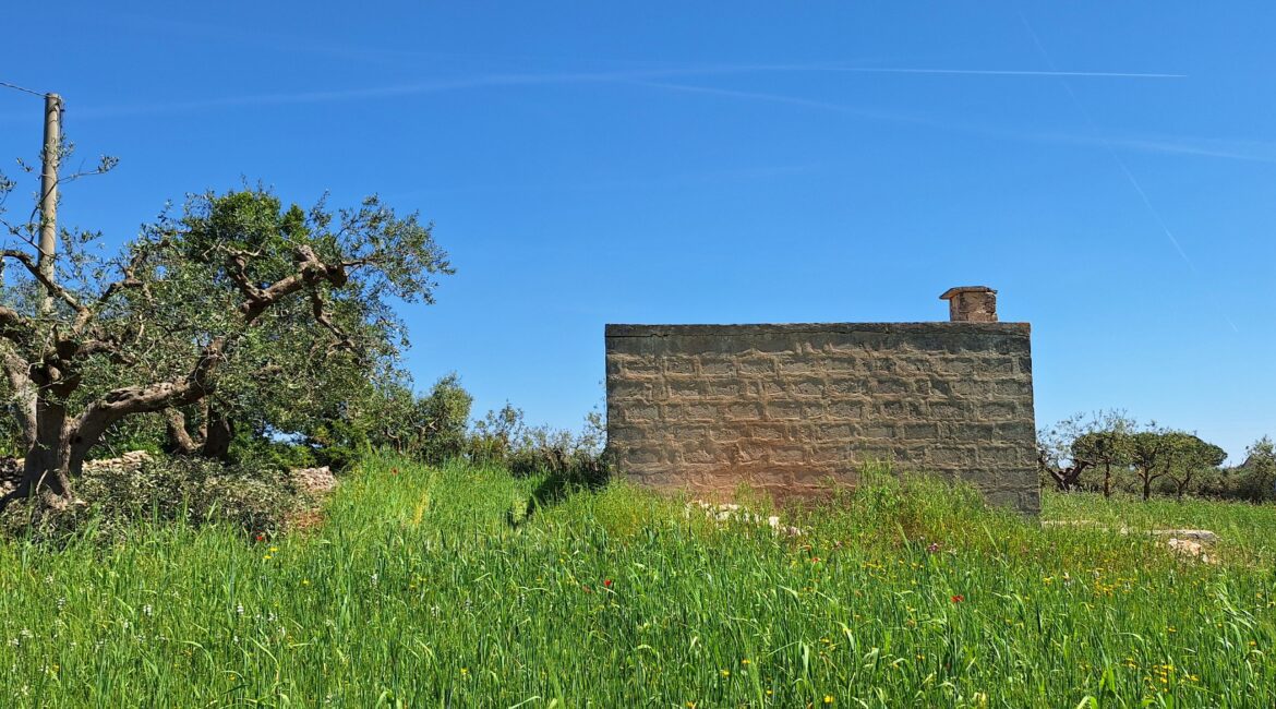 Rustico