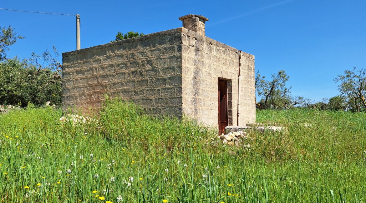 Rustico
