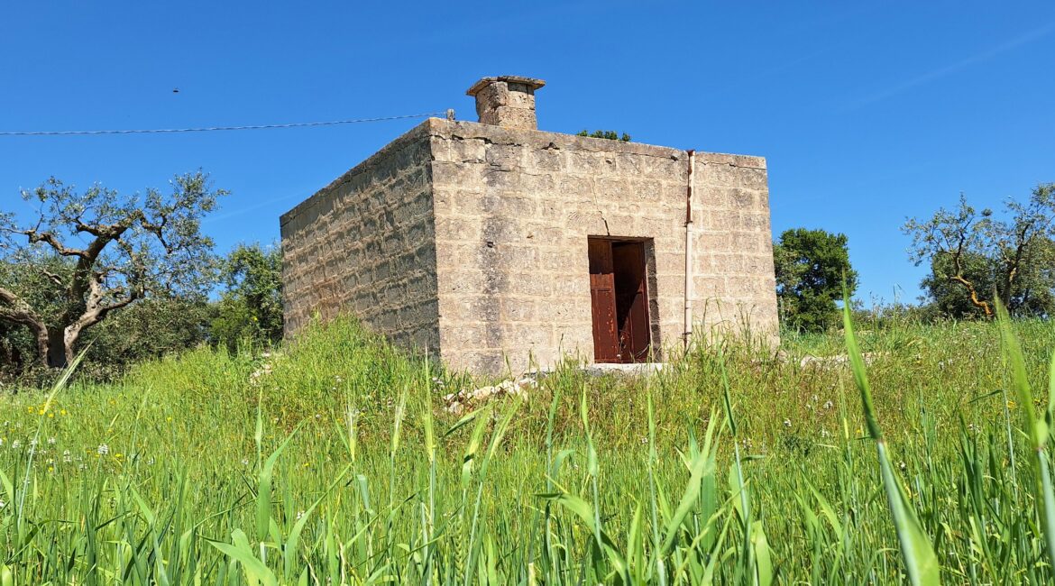 Rustico
