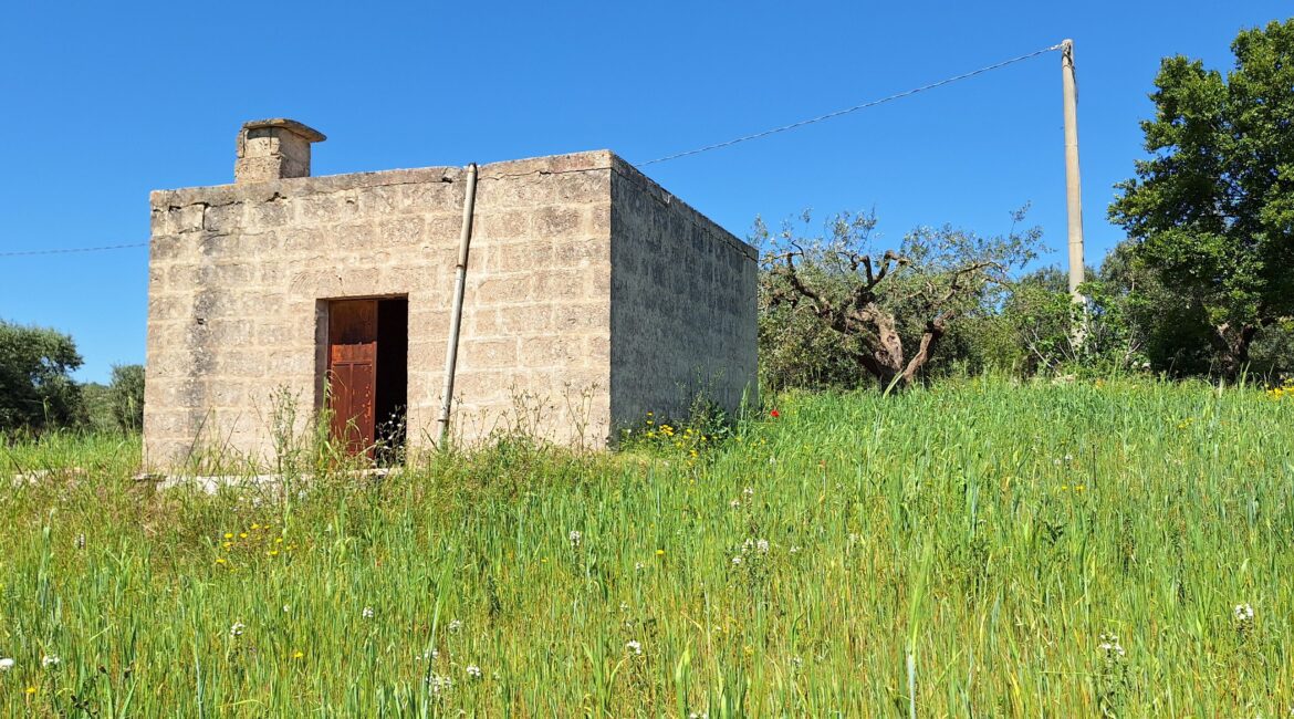 Rustico