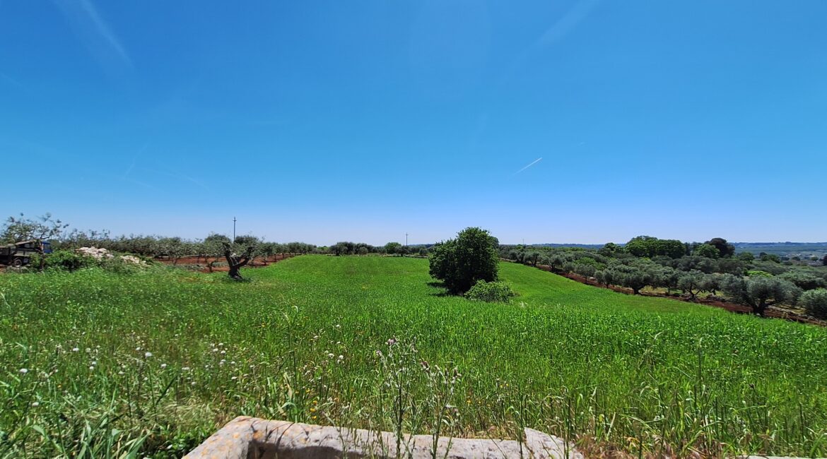 Rustico