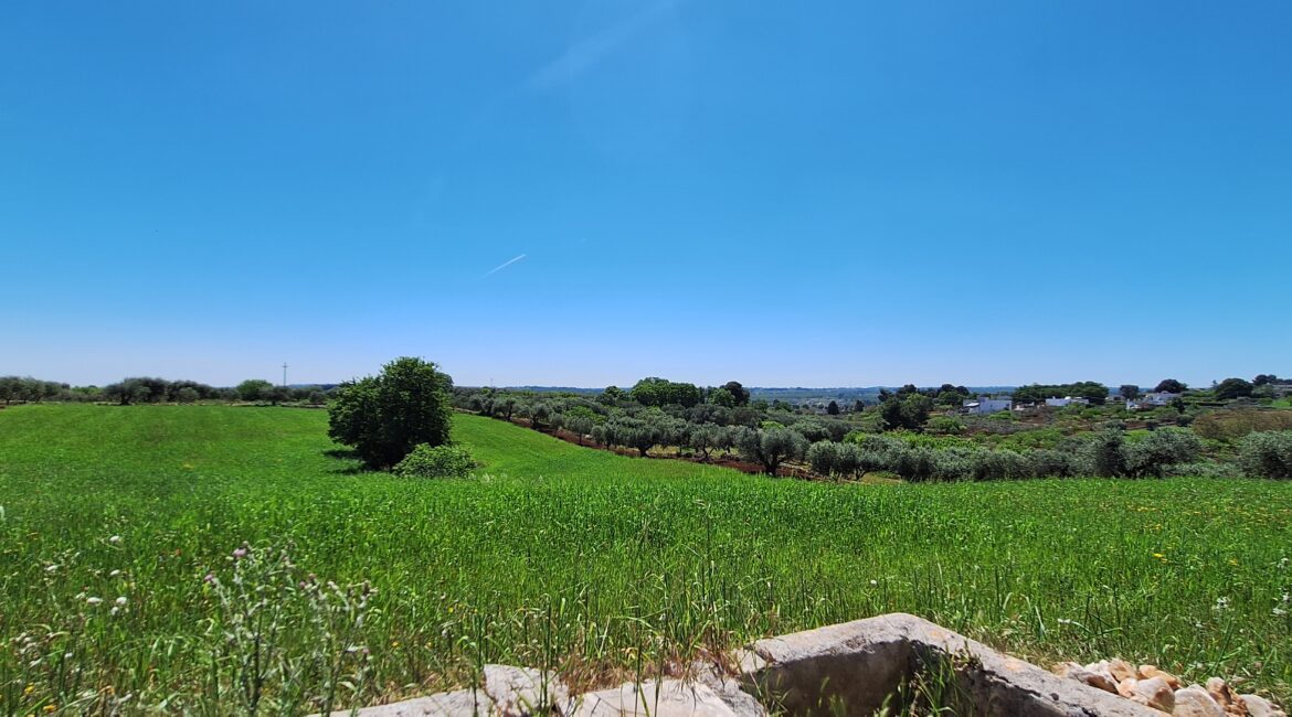 Rustico