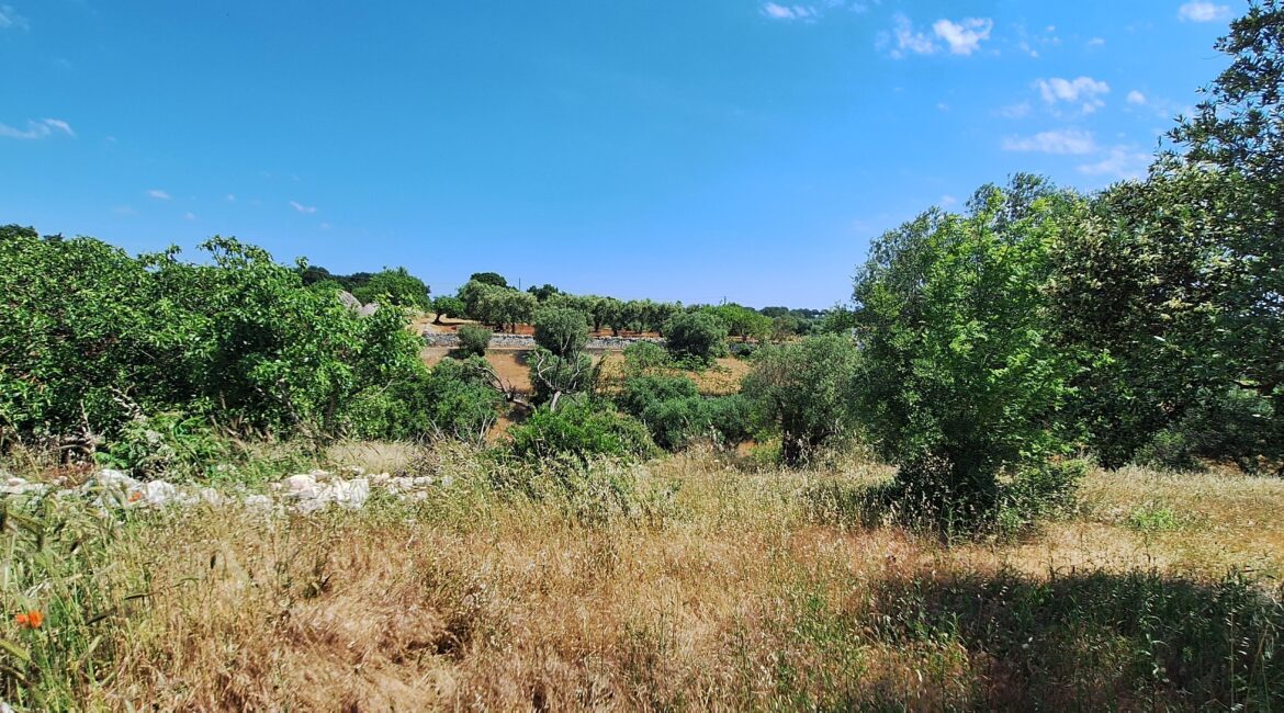 Trulli