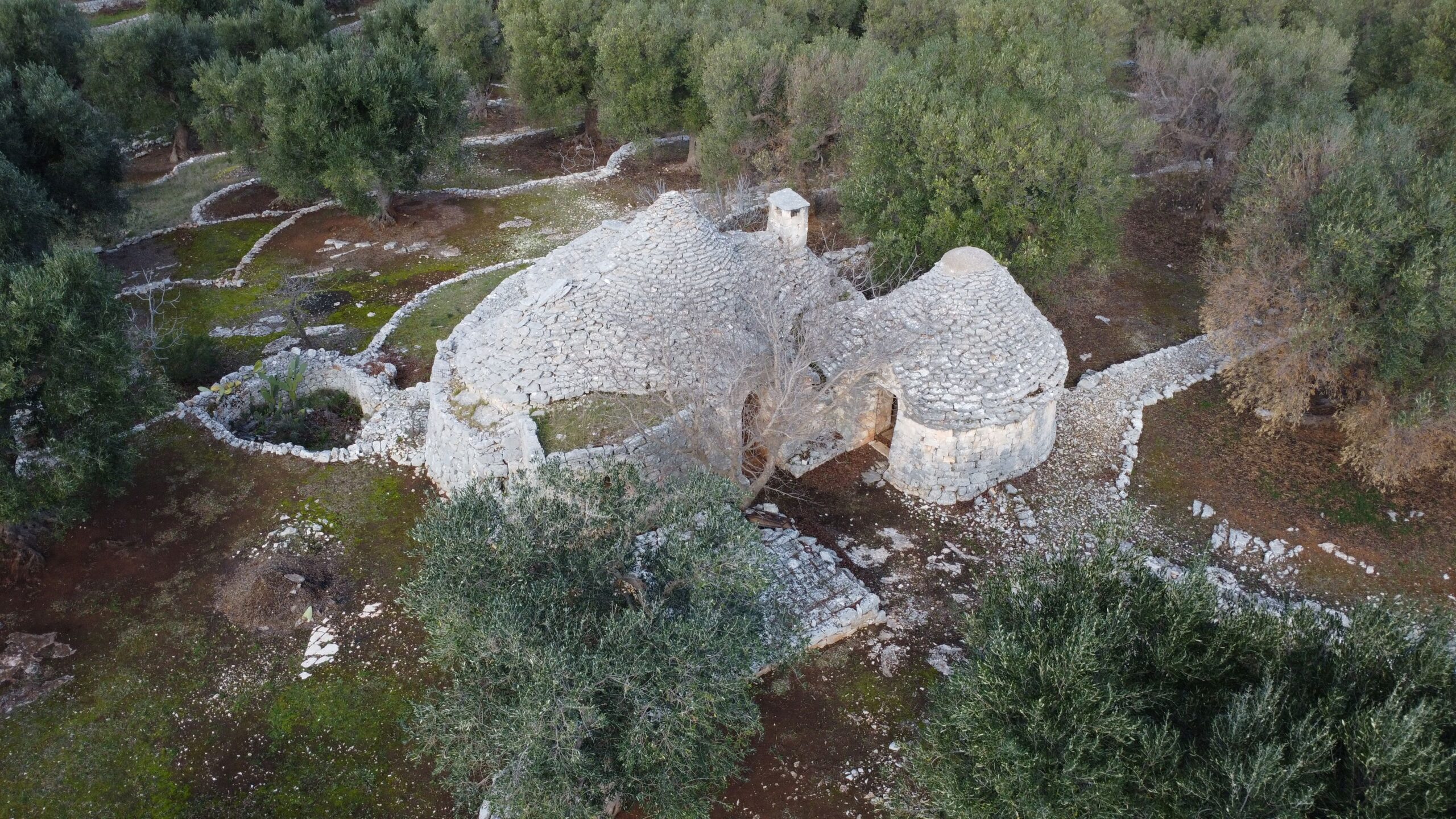 DJI_0318