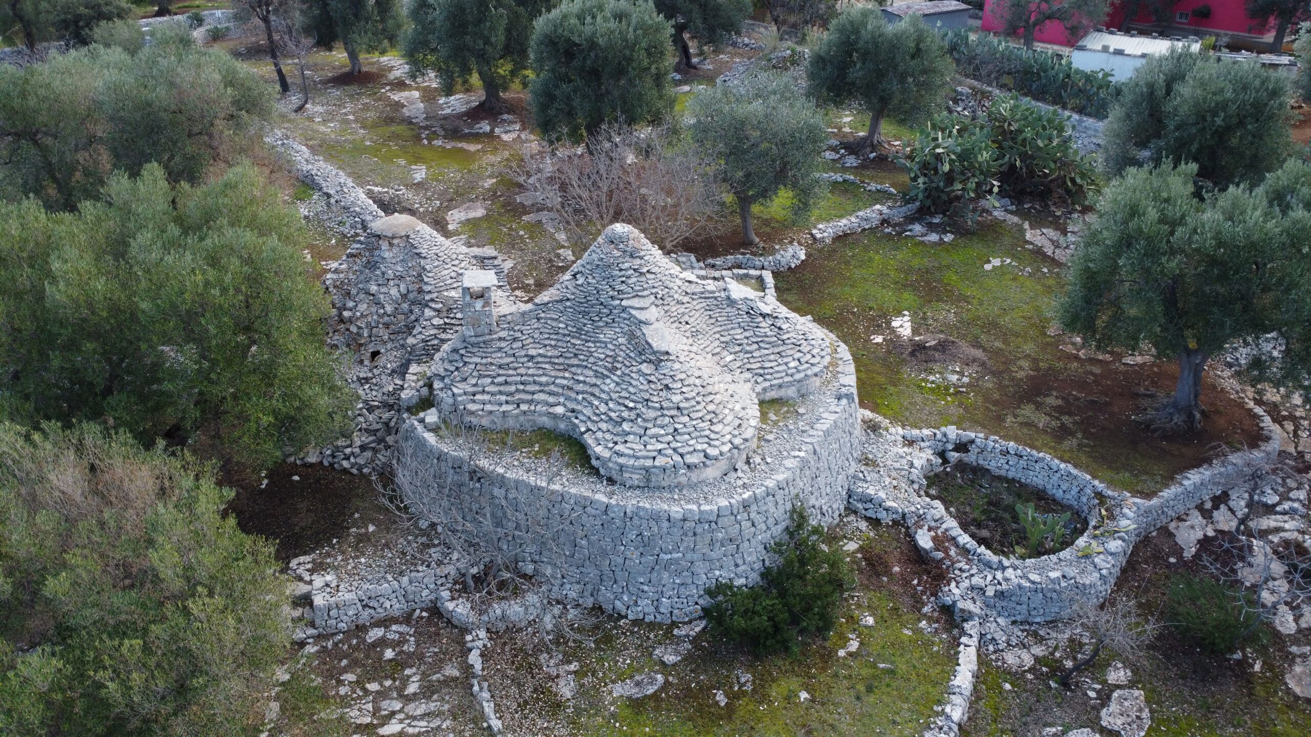 DJI_0323