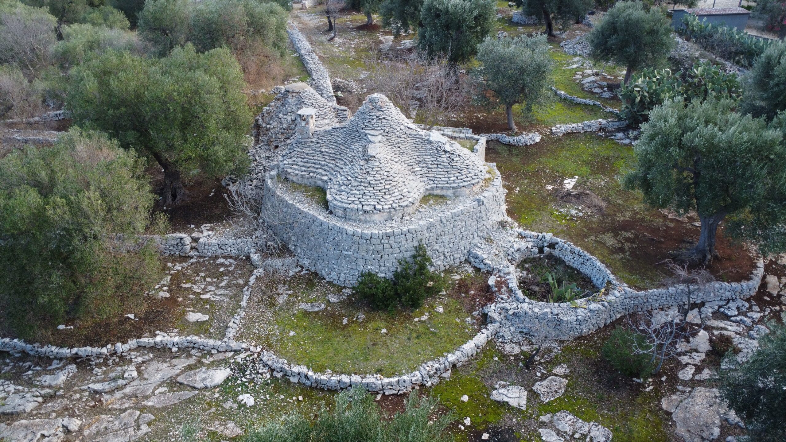 DJI_0325