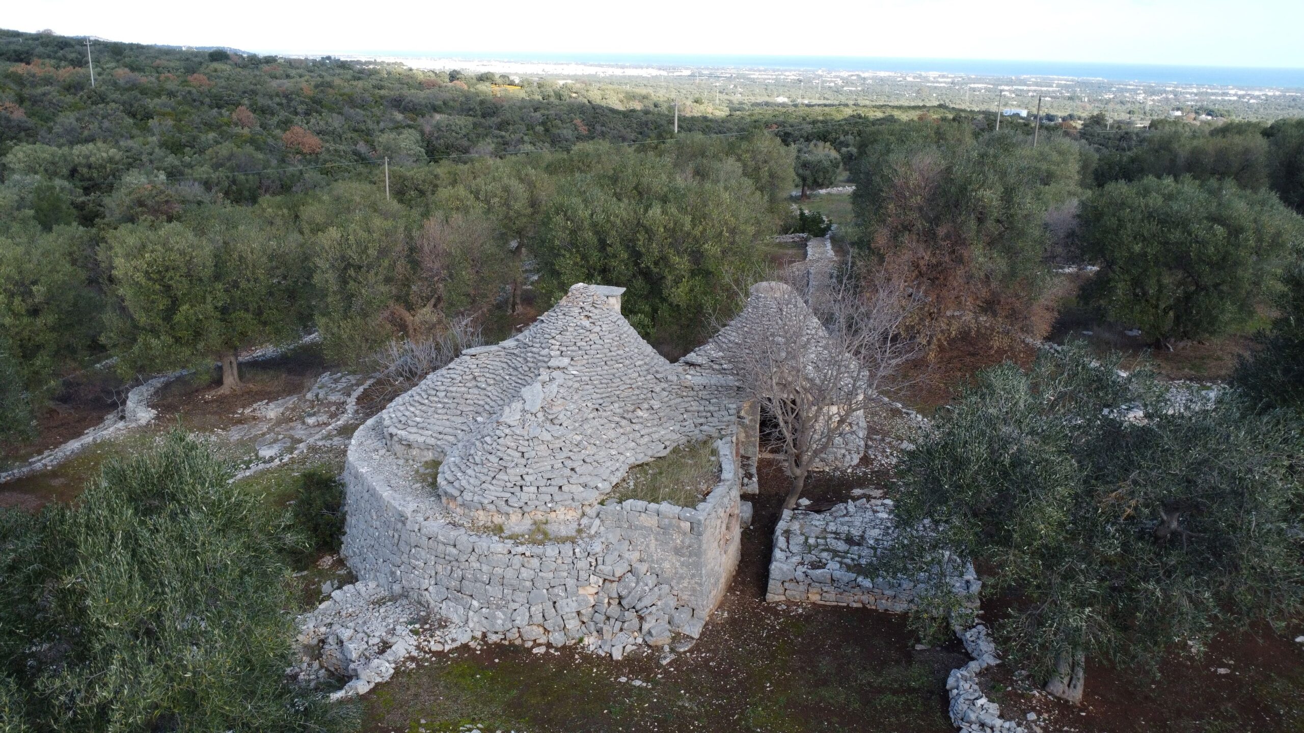 DJI_0328