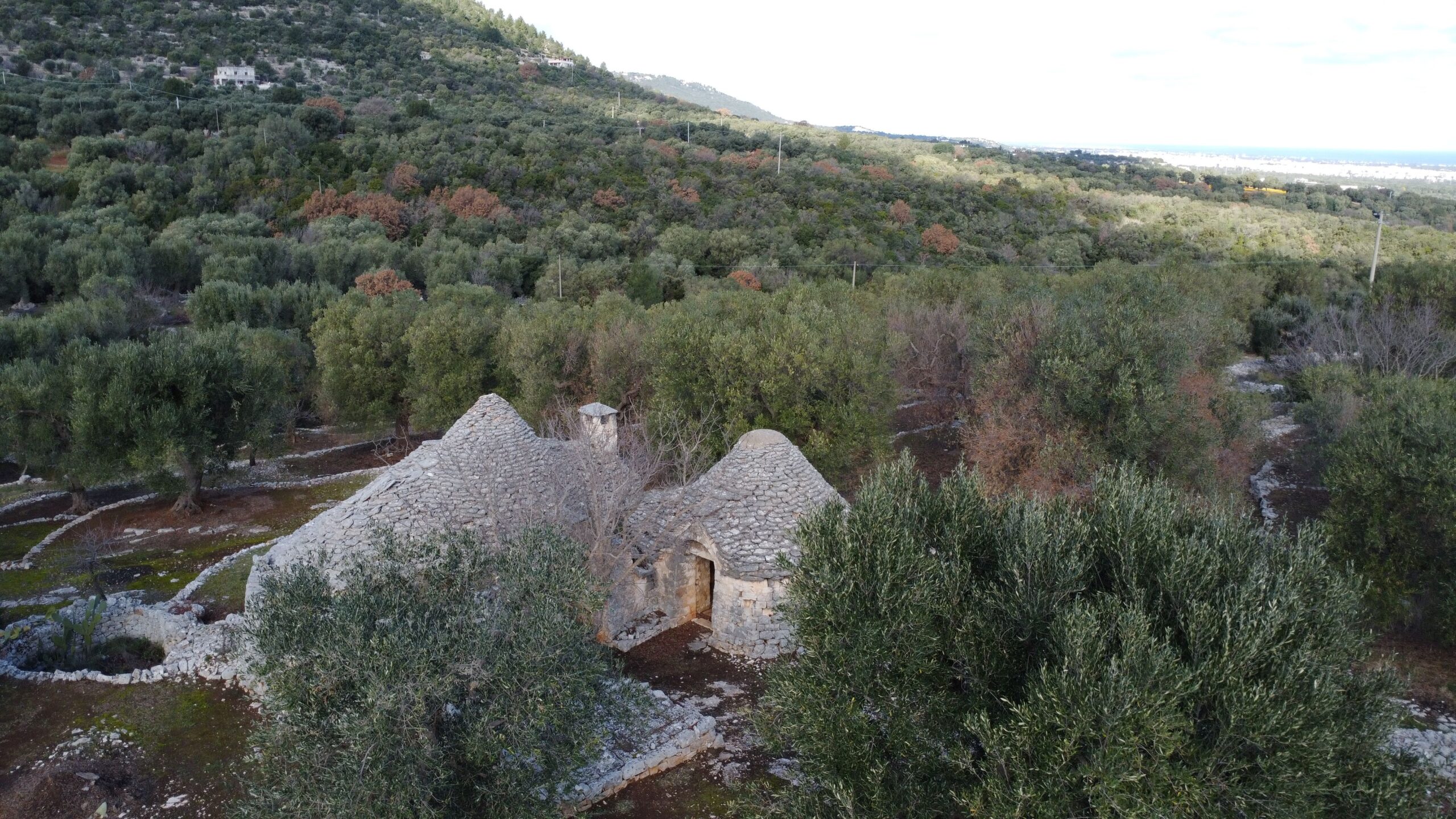 DJI_0329