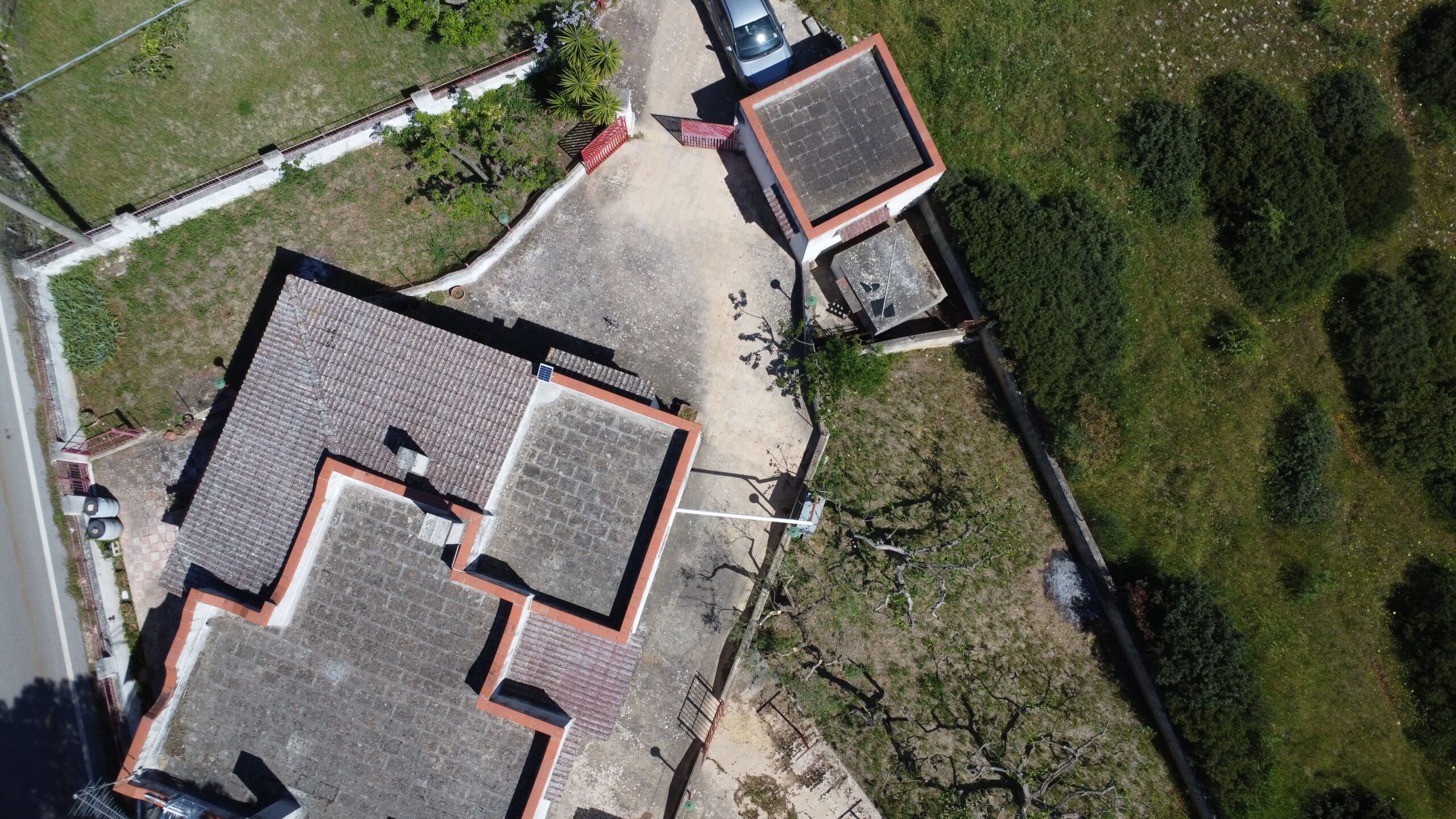 DJI_0456