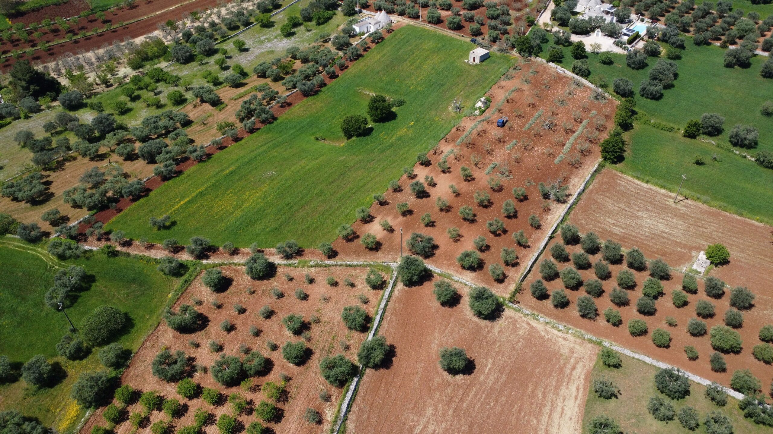 DJI_0816