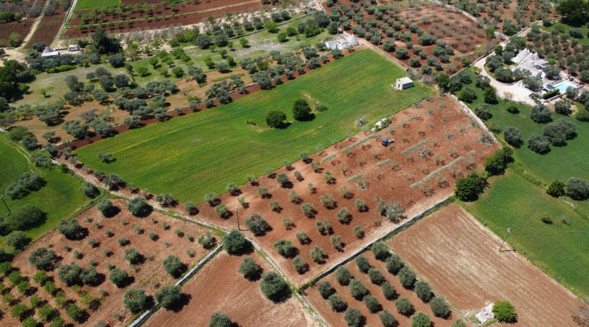 Rustico