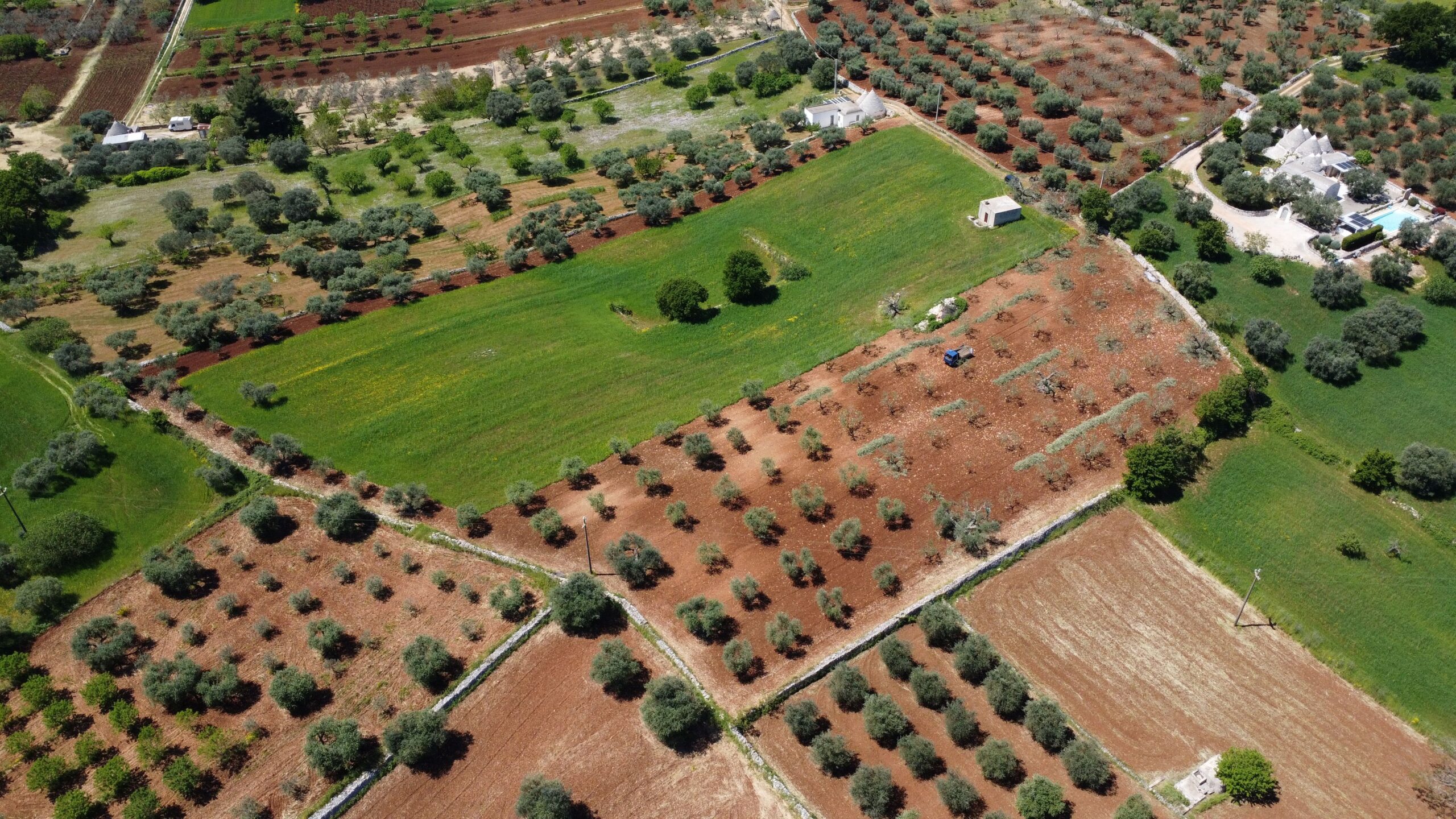 DJI_0817