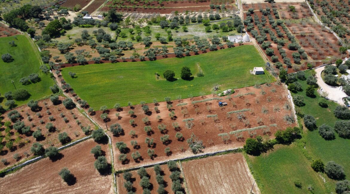 Rustico